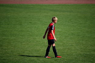 kaiyun开云·官方网站-中国足球俱乐部青训营技术指导持续加强，中国足球青训机构