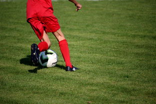 kaiyun开云·官方网站-中国足球俱乐部青训营技术指导持续加强，中国足球青训机构